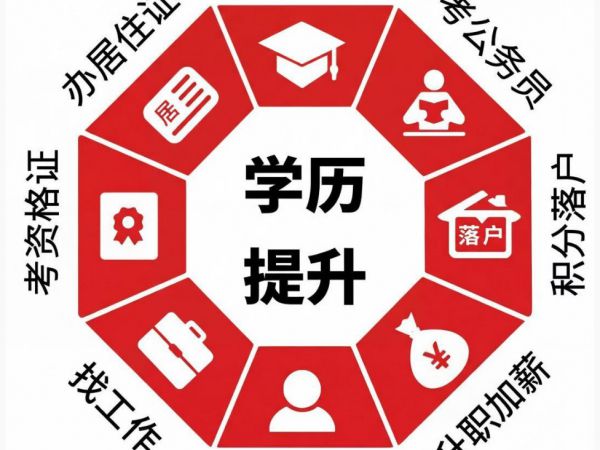 2026 成考时间线出炉！一张图读懂全流程备考指南