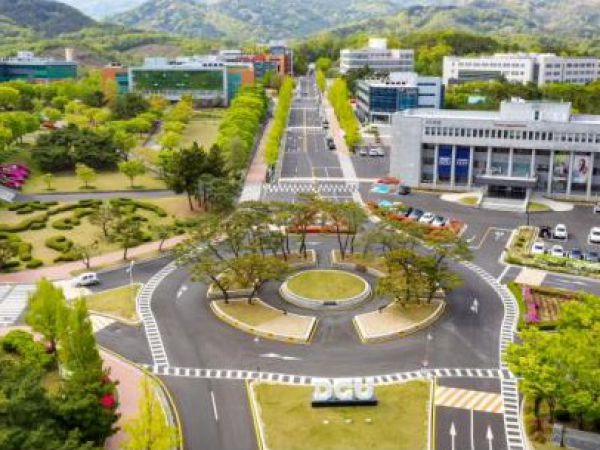 大邱加图立大学中留服认证样本
